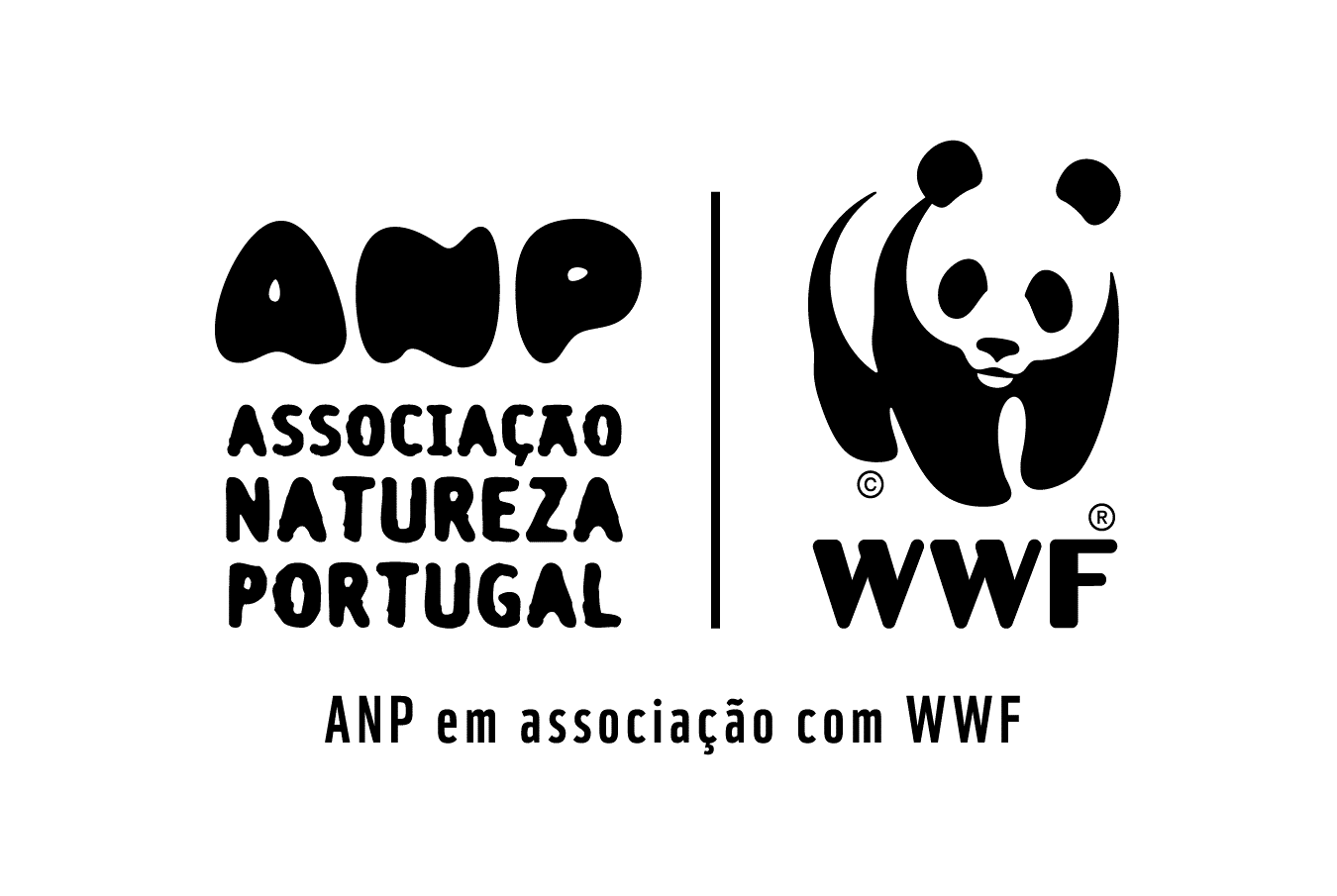 ANP WWF