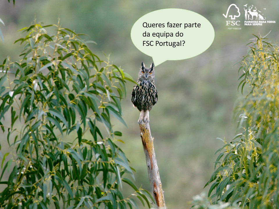 Oferta de emprego