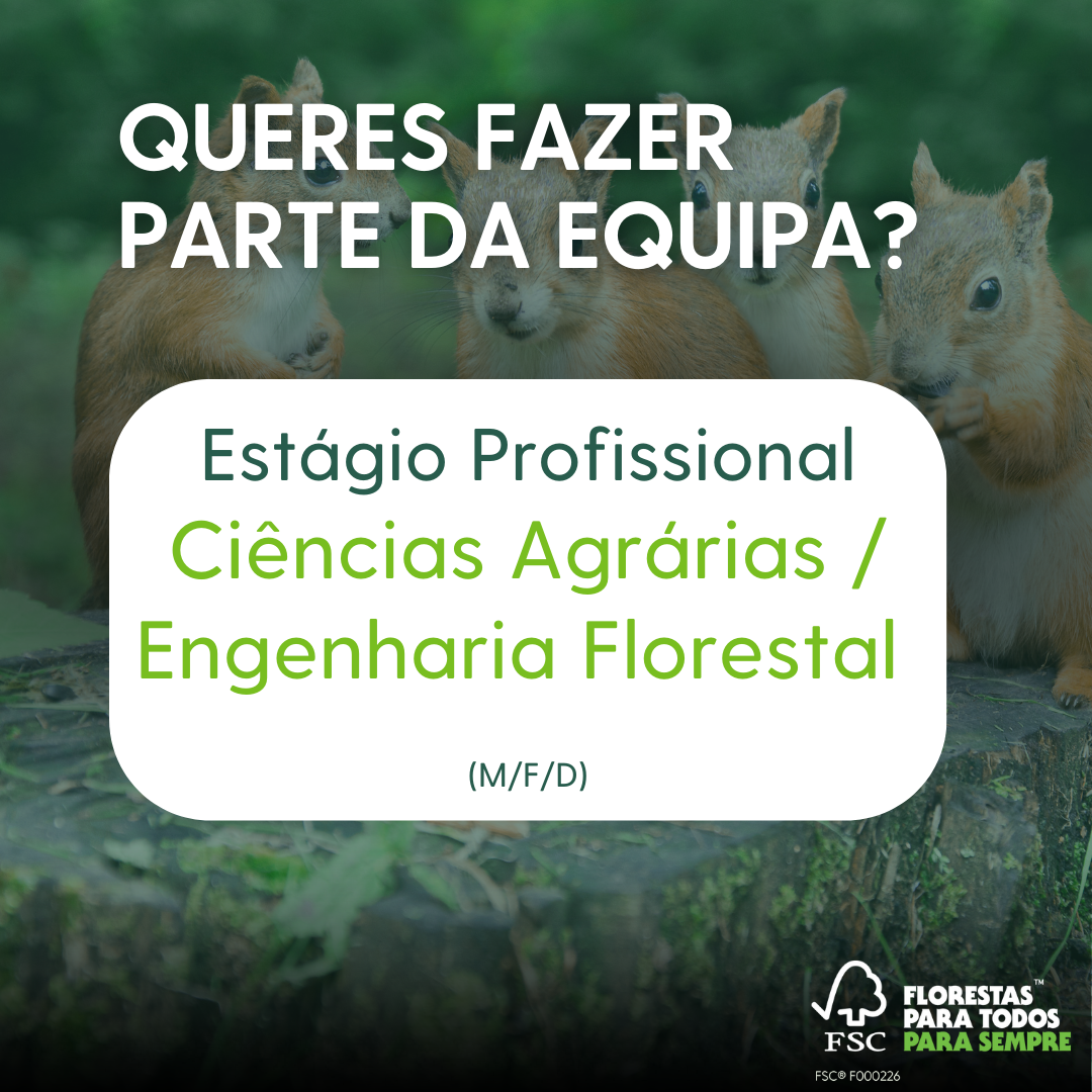 estágio