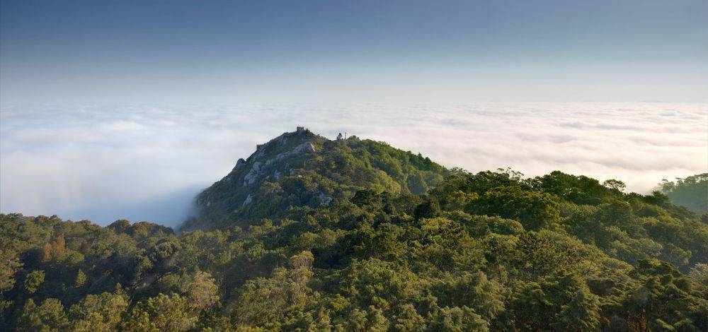 Parques de Sintra