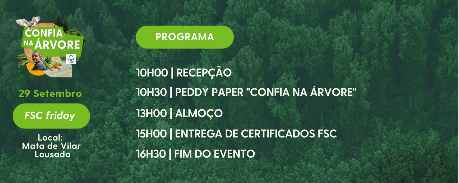 programa 2