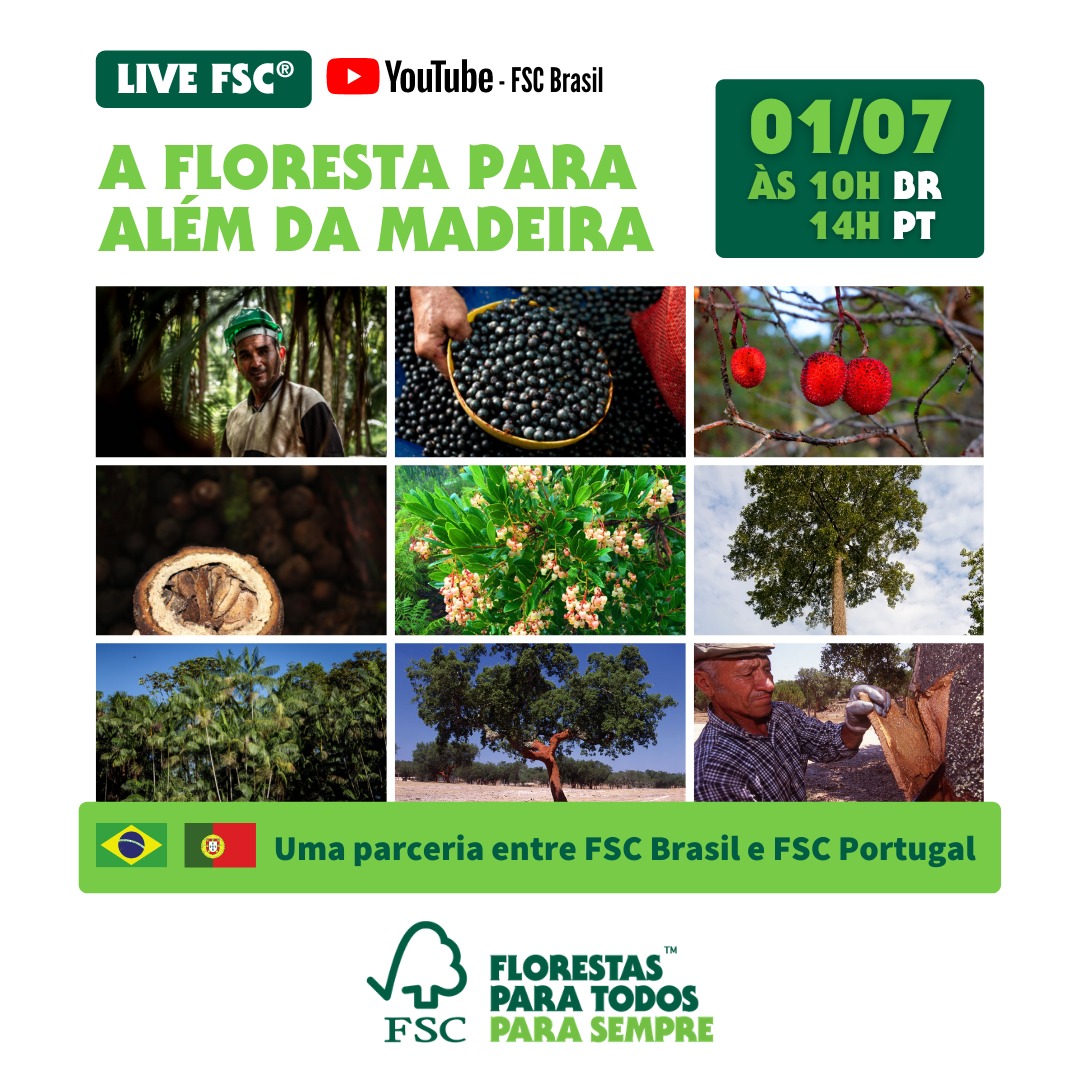 cartaz PFNL