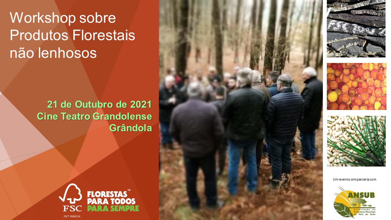 cartaz