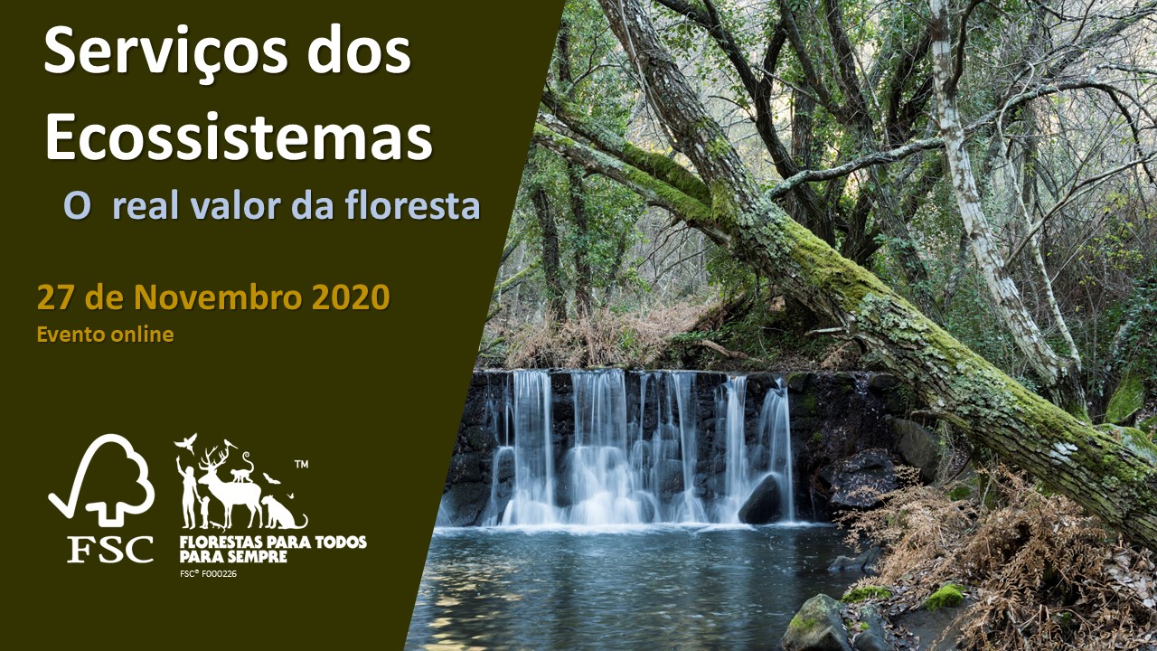 cartaz Webinar sobre Serviços dos Ecossistemas