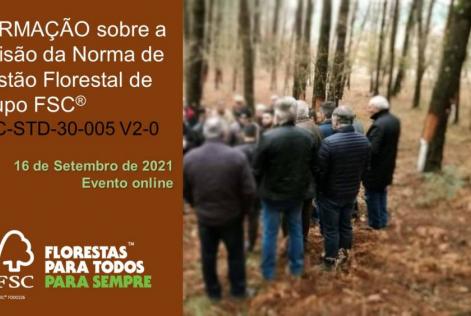 Norma de Grupo