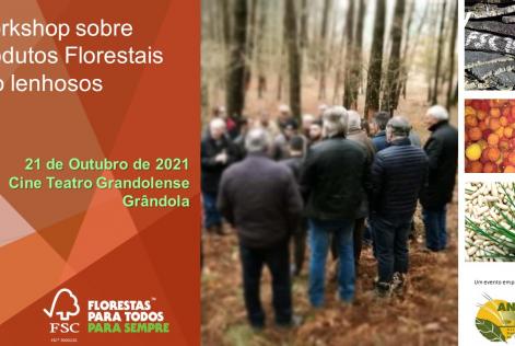 cartaz
