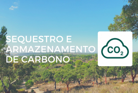CSE