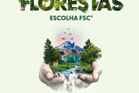 FSC friday