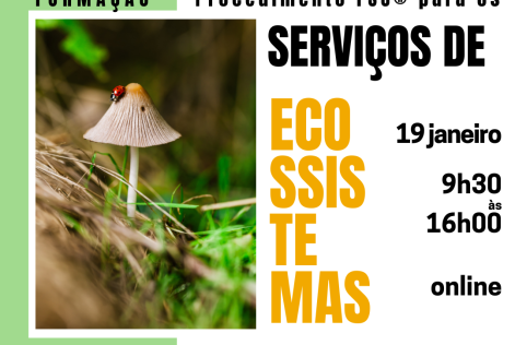 se1