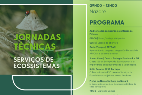jornadas técnicas