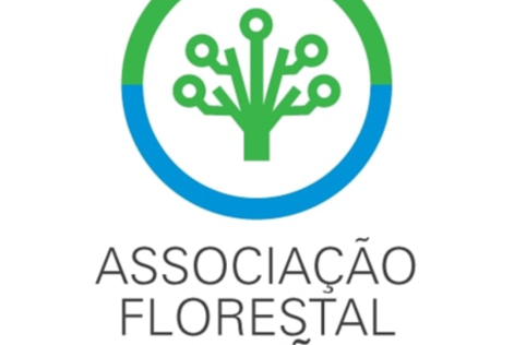 BI do Associado3