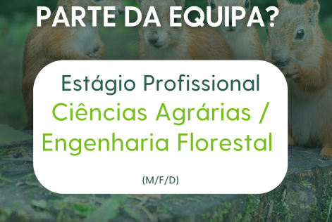 Estágio
