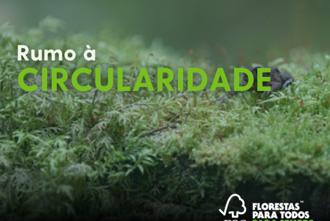 circularidade