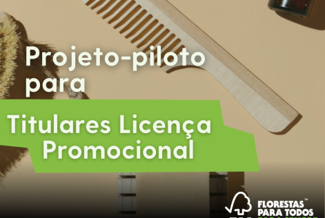 projeto piloto3