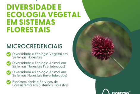 diversidade