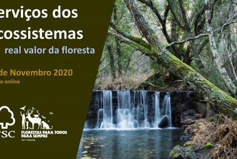 webinar Serviços dos Ecossistemas