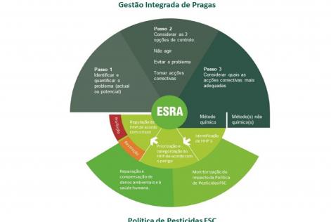 ESRA
