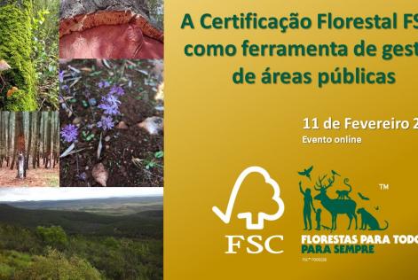 Certificação florestal FSC como ferramenta de gestão de áreas públicas