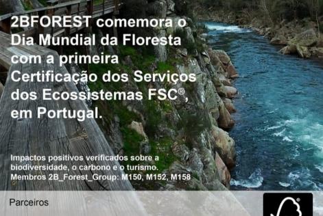 Serviços dos Ecossistemas
