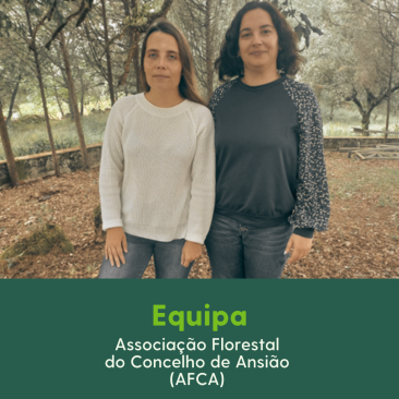 BI do Associado1